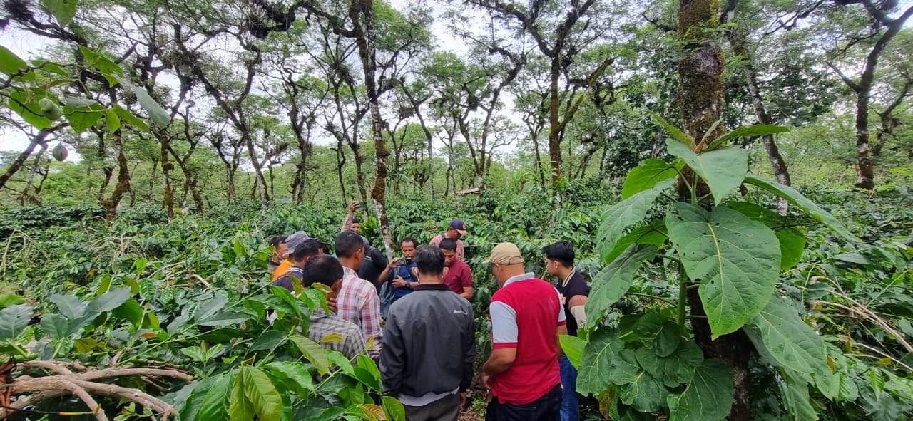 Coffee partners gathering within a forest coffee area