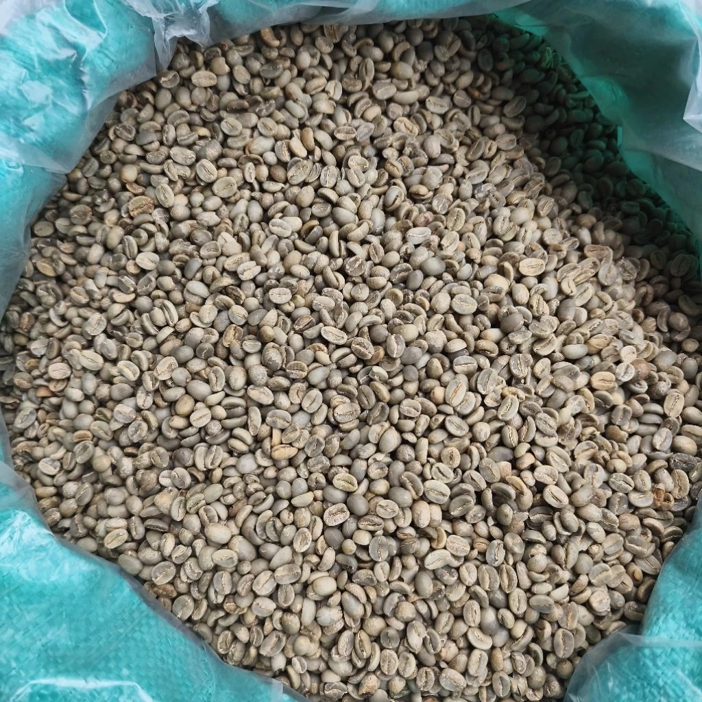 Flores Bajawa Specialty Arabica coffee product sample